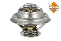 Thermostat, Kühlmittel