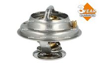Thermostat, Kühlmittel
