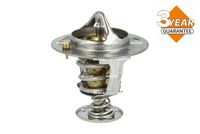 Thermostat, Kühlmittel