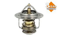 Thermostat, Kühlmittel