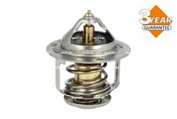 Thermostat, Kühlmittel