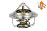 Thermostat, Kühlmittel