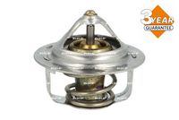 Thermostat, Kühlmittel