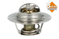 Thermostat, Kühlmittel