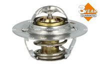 Thermostat, Kühlmittel