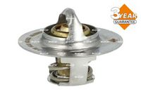 Thermostat, Kühlmittel