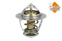 Thermostat, Kühlmittel