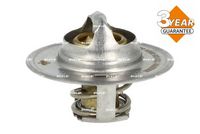 Thermostat, Kühlmittel