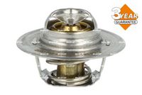 Thermostat, Kühlmittel