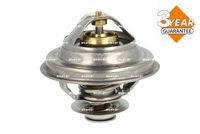 Thermostat, Kühlmittel