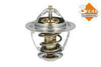 Thermostat, Kühlmittel