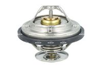 Thermostat, Kühlmittel