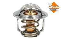 Thermostat, Kühlmittel