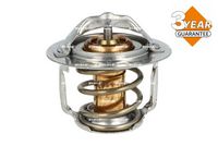 Thermostat, Kühlmittel