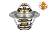 Thermostat, Kühlmittel