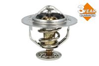 Thermostat, Kühlmittel