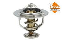 Thermostat, Kühlmittel