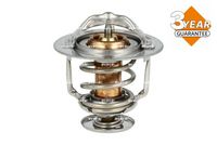 Thermostat, Kühlmittel