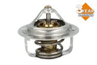 Thermostat, Kühlmittel