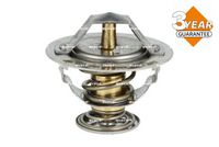 Thermostat, Kühlmittel