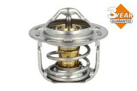 Thermostat, Kühlmittel