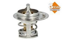 Thermostat, Kühlmittel