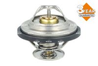 Thermostat, Kühlmittel