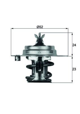 Thermostat, Kühlmittel