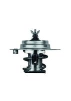 Thermostat, Kühlmittel