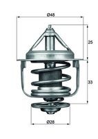 Thermostat, Kühlmittel