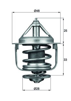 Thermostat, Kühlmittel
