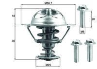 Thermostat, Kühlmittel