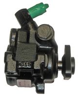 Hydraulikpumpe, Lenkung