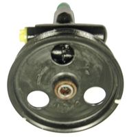 Hydraulikpumpe, Lenkung