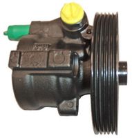 Hydraulikpumpe, Lenkung