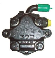 Hydraulikpumpe, Lenkung