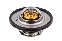 Thermostat, Kühlmittel