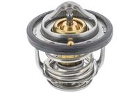Thermostat, Kühlmittel