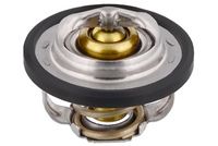 Thermostat, Kühlmittel