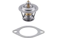Thermostat, Kühlmittel