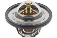 Thermostat, Kühlmittel