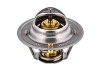 Thermostat, Kühlmittel
