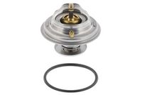 Thermostat, Kühlmittel
