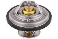 Thermostat, Kühlmittel