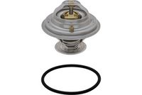 Thermostat, Kühlmittel