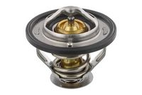 Thermostat, Kühlmittel