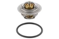 Thermostat, Kühlmittel