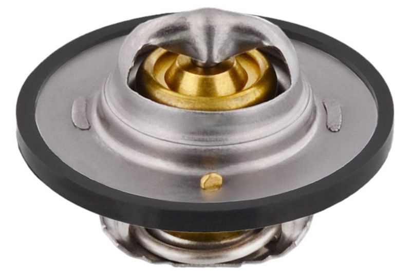 Thermostat, Kühlmittel