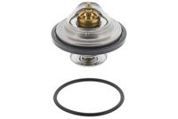 Thermostat, Kühlmittel