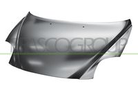 Motorhaube